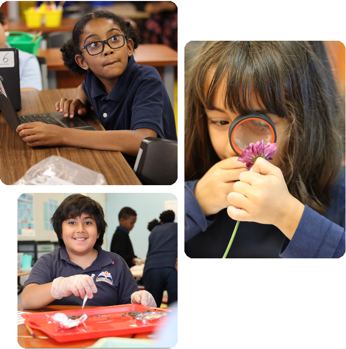 Students engaged in various activities in a science lab, showcasing teamwork and experimentation